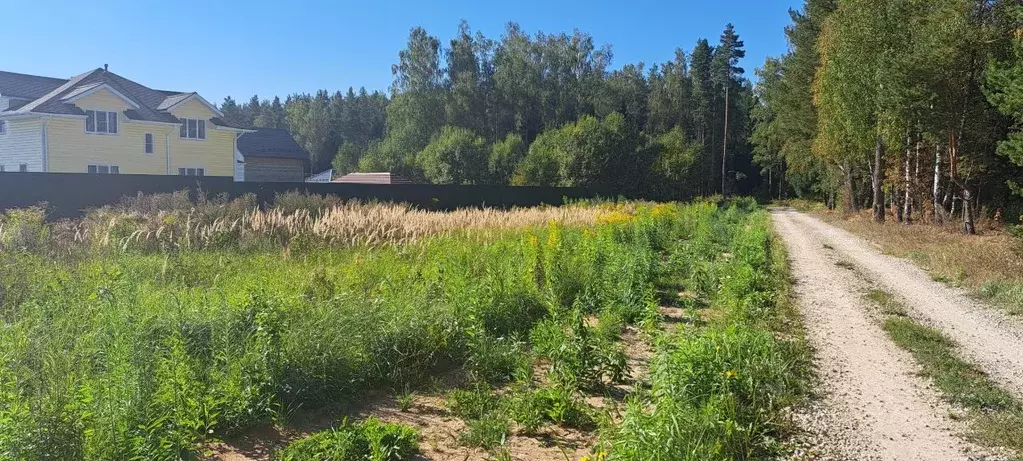 Участок в Московская область, Щелково городской округ, д. Аксиньино  ... - Фото 0