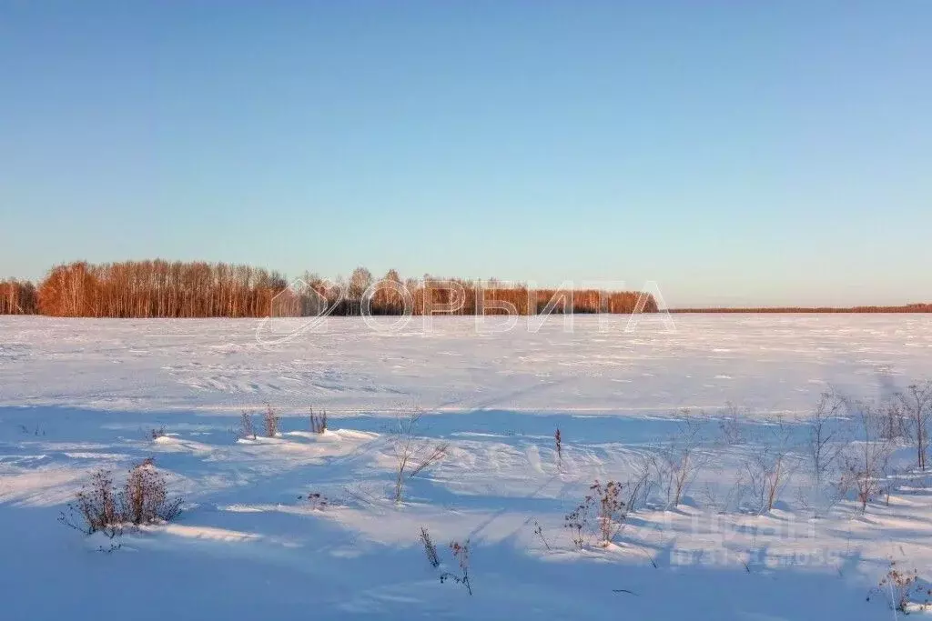 Участок в Тюменская область, Тюменский район, с. Горьковка  (15.0 ... - Фото 1
