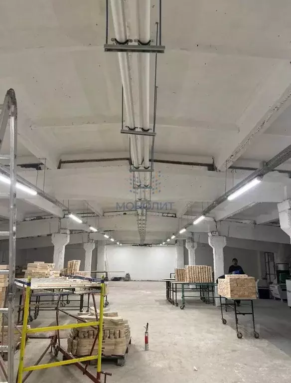 Производственное помещение в Московская область, Чехов муниципальный ... - Фото 2