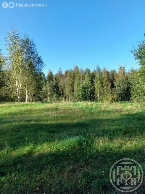 Участок в Заклинское сельское поселение, деревня Турово (15 м) - Фото 1