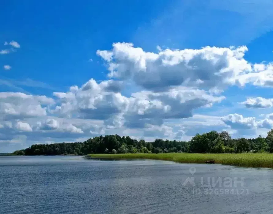 Участок в Тверская область, Кашинский муниципальный округ, д. Маслово  ... - Фото 1