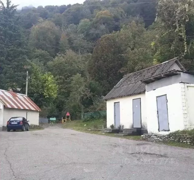 Помещение свободного назначения в Краснодарский край, Сочи городской ... - Фото 1