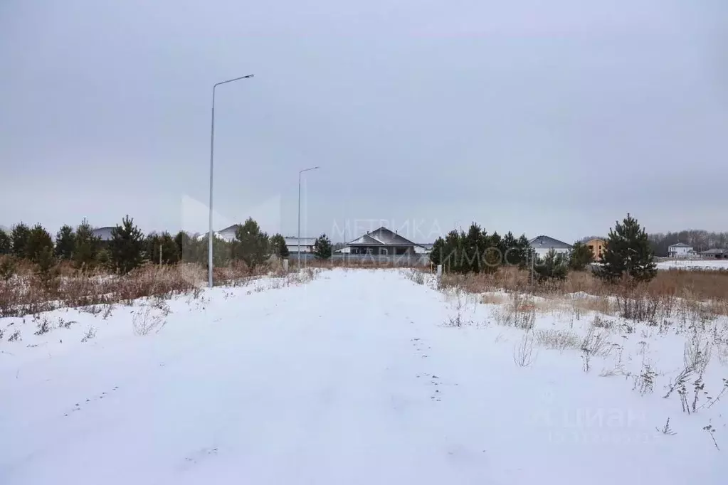 Участок в Тюменская область, Тюменский район, Новокаменский кп  (10.54 ... - Фото 0