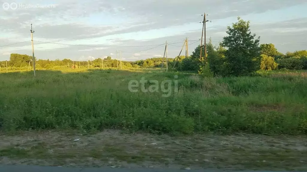 Участок в Нижегородская область, Балахнинский муниципальный округ, ... - Фото 1