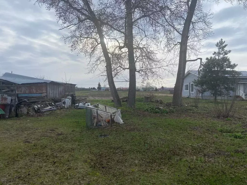 Участок в Московская область, Коломна городской округ, с. Сосновка  ... - Фото 2