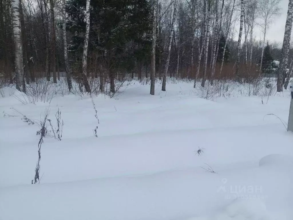 Участок в Московская область, Раменский городской округ, д. Прудки ул. ... - Фото 1