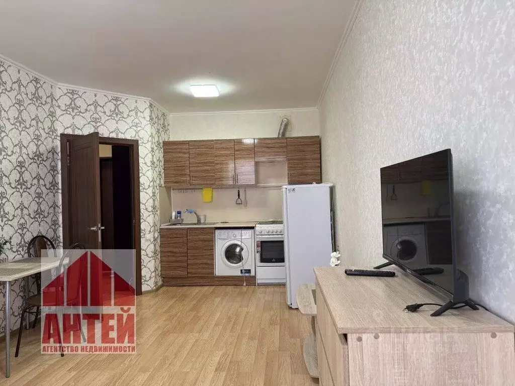 1-к кв. Нижегородская область, Нижний Новгород д. Анкудиновка, ул. ... - Фото 2