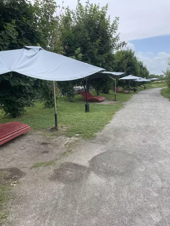 3-к кв. Новосибирская область, Новосибирский район, с. Толмачево ул. ... - Фото 1
