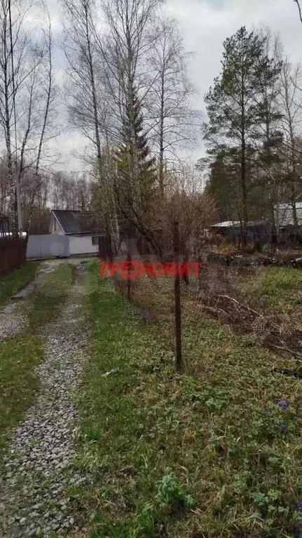 Участок 8,4 сот. (СНТ, ДНП) - Фото 1