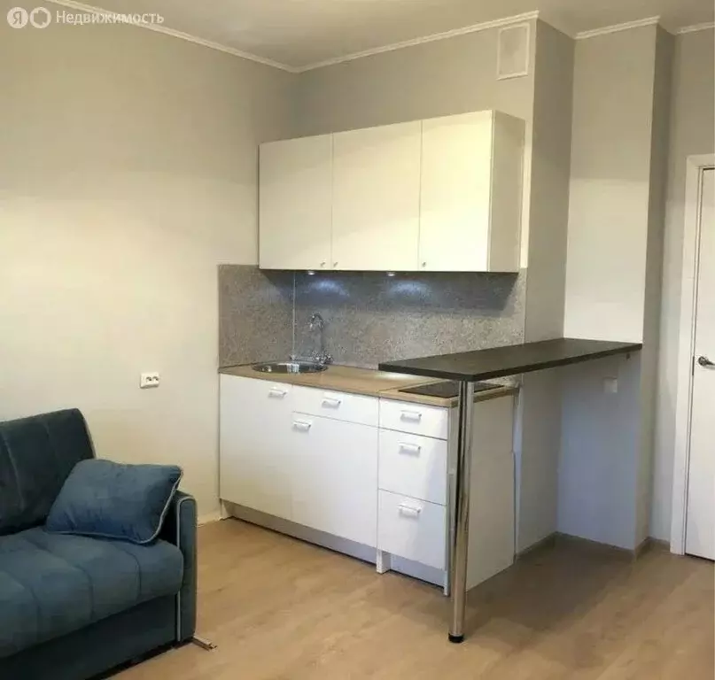 Квартира-студия: Чигири, Центральная улица, 32 (18 м) - Фото 0