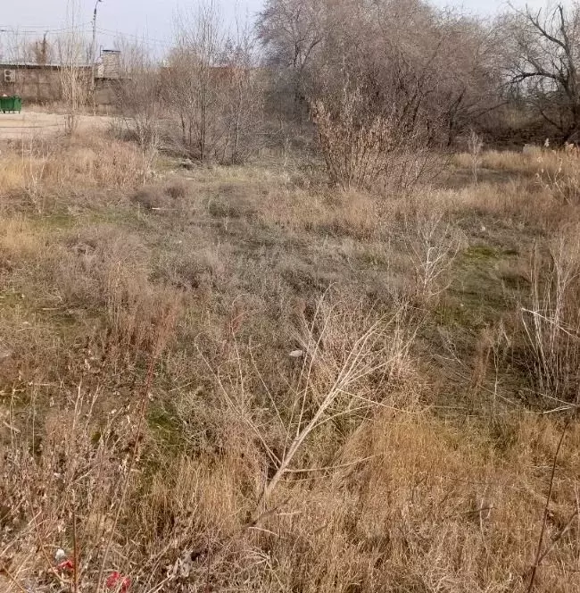 Участок в Волгоградская область, Волгоград Село Песчанка тер., ул. ... - Фото 0