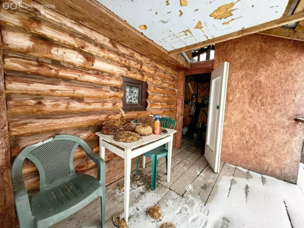 Дом в муниципальный округ Омский район, СНТ Пластик (30 м) - Фото 1