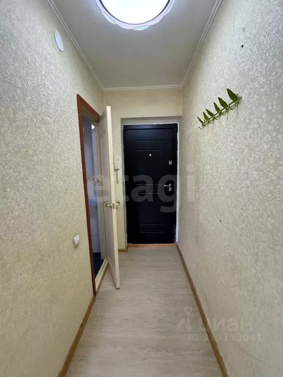 1-к кв. Сахалинская область, Южно-Сахалинск Ново-Александровск п/р, ... - Фото 1