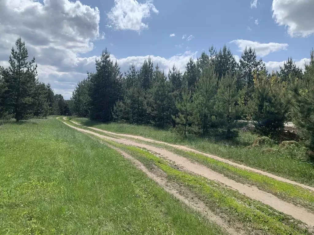 Участок в Самарская область, Красноярский район, Новый Буян с/пос  ... - Фото 2