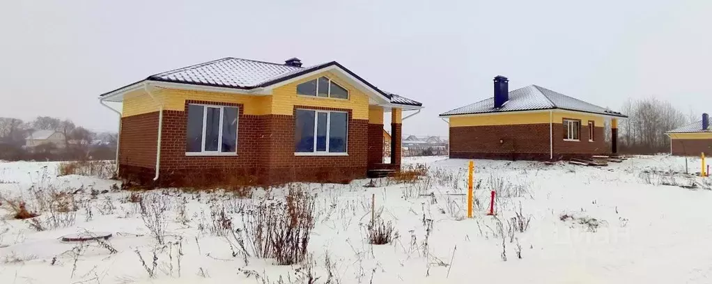 Дом в Пензенская область, Бессоновский район, с. Чемодановка ул. ... - Фото 0