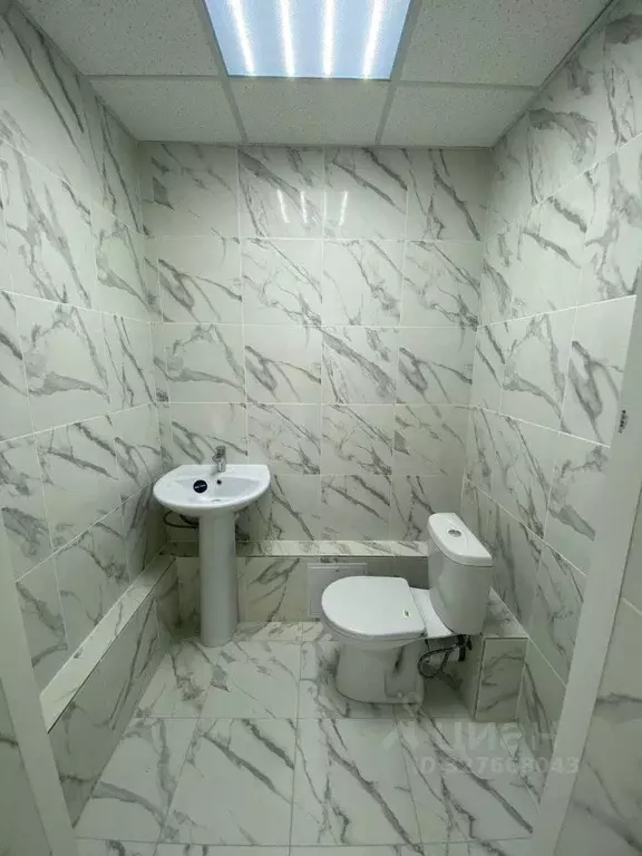 Помещение свободного назначения в Кировская область, Киров Гороховская ... - Фото 2