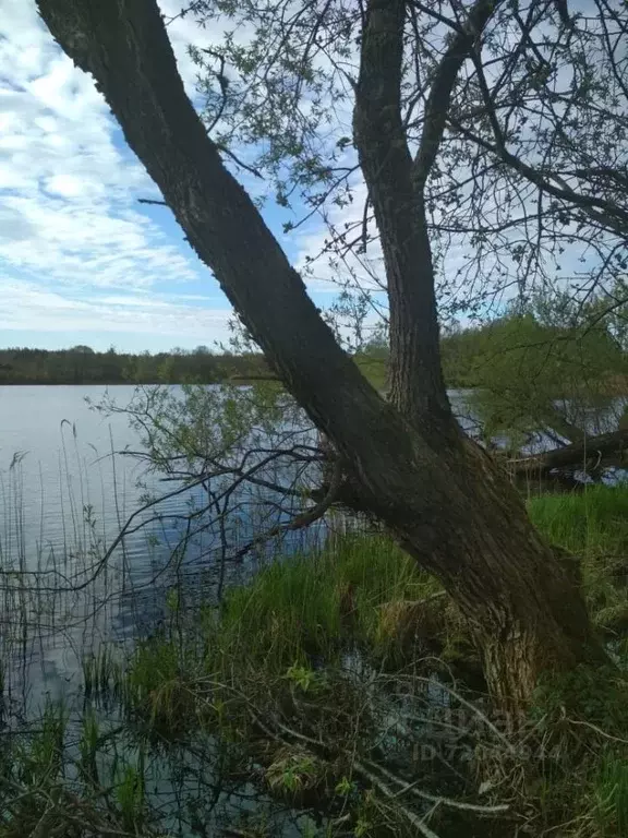 Дом в Псковская область, Пустошкинский район, д. Пружинец  (60 м) - Фото 1