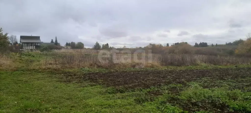 Участок в Вологодская область, д. Бабиково  (37.5 сот.) - Фото 0