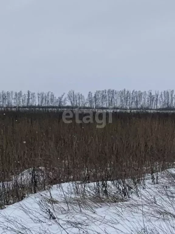 Участок в Белгородская область, Белгородский район, Головинское с/пос, ... - Фото 1