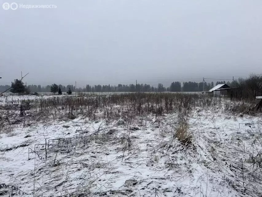 Участок в Волосовский район, Рабитицкое сельское поселение, деревня ... - Фото 1