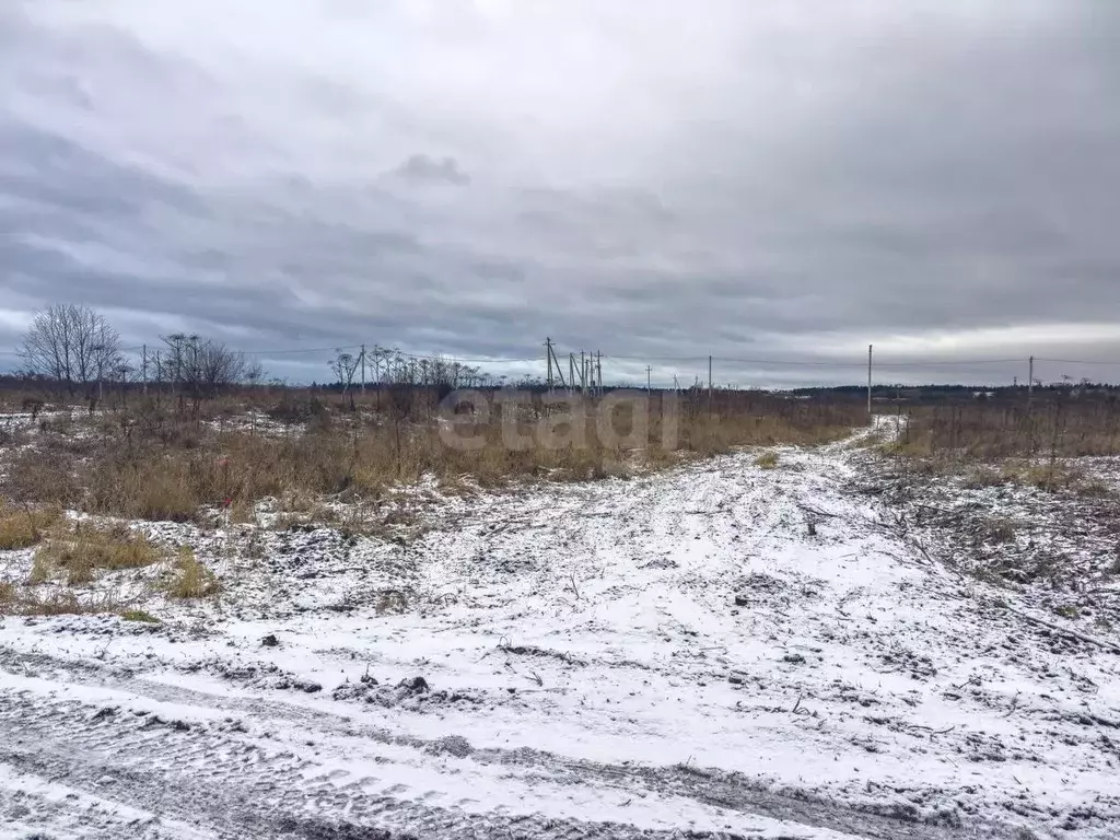 Участок в Пермский край, Пермский муниципальный округ, д. Качка ул. ... - Фото 2