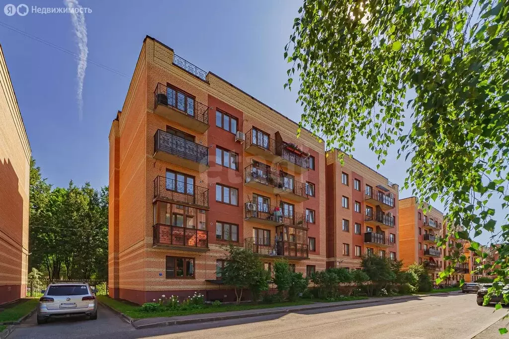 1-комнатная квартира: Павловск, Слуцкая улица, 11 (45.2 м) - Фото 2