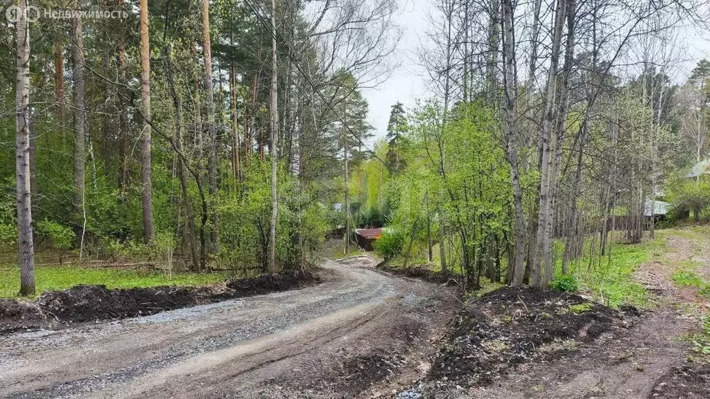 Участок в Томск, Кировский район, посёлок Геологов, улица Геологов ... - Фото 2