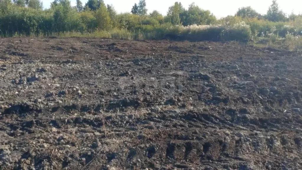 Участок в Тюменская область, Тюмень Светлое садовое товарищество,  ... - Фото 1