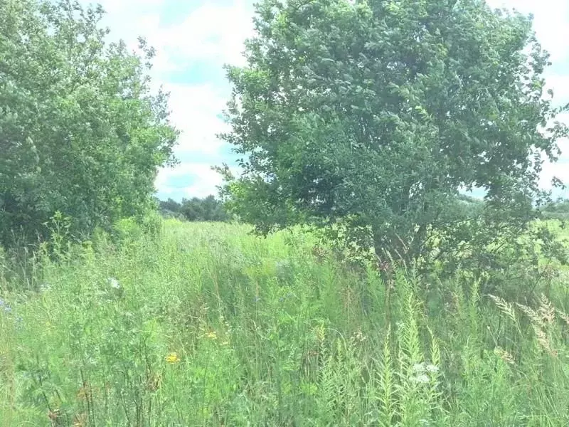 Участок в Калужская область, Калуга городской округ, д. Пучково ул. ... - Фото 2