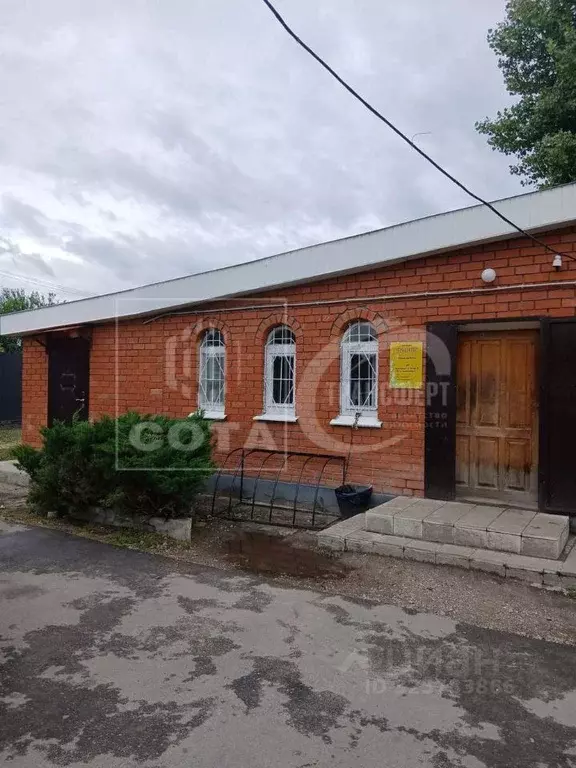 Торговая площадь в Воронежская область, Новоусманский район, с. ... - Фото 2
