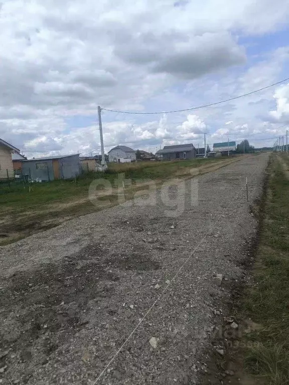 Участок в Новосибирская область, Новосибирский район, Толмачевский ... - Фото 2