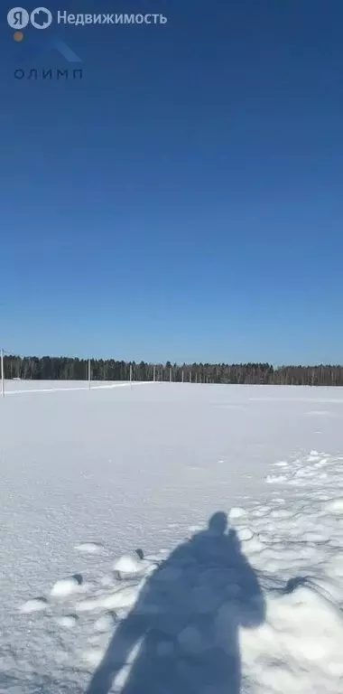 Участок в Ярославская область, сельское поселение Некрасовское (44706 ... - Фото 0