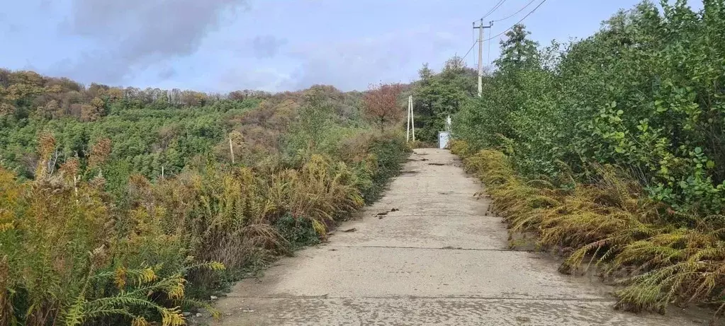 Участок в Краснодарский край, Сочи городской округ, с. Липники  (35.0 ... - Фото 1