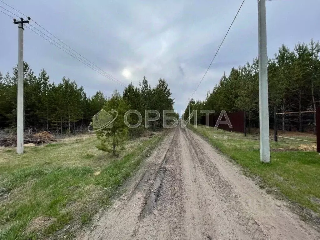Участок в Тюменская область, Тюменский муниципальный округ, д. ... - Фото 2