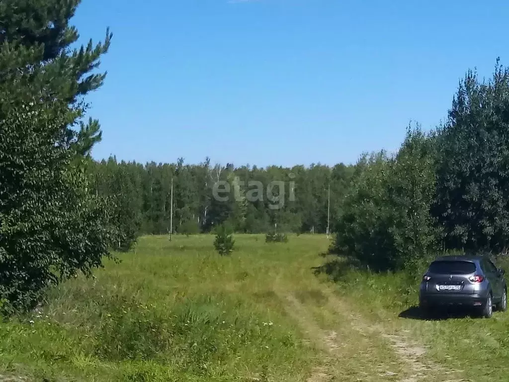 Участок в Свердловская область, Ревда муниципальный округ, с. ... - Фото 0