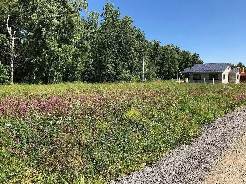 Участок в Московская область, Домодедово городской округ, с. Красный ... - Фото 0