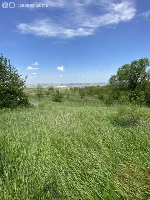 Участок в Симферопольский район, село Чистенькое (15 м) - Фото 1