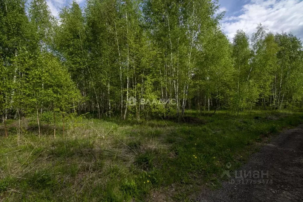 Участок в Нижегородская область, Нижний Новгород д. Майдан, ул. ... - Фото 1