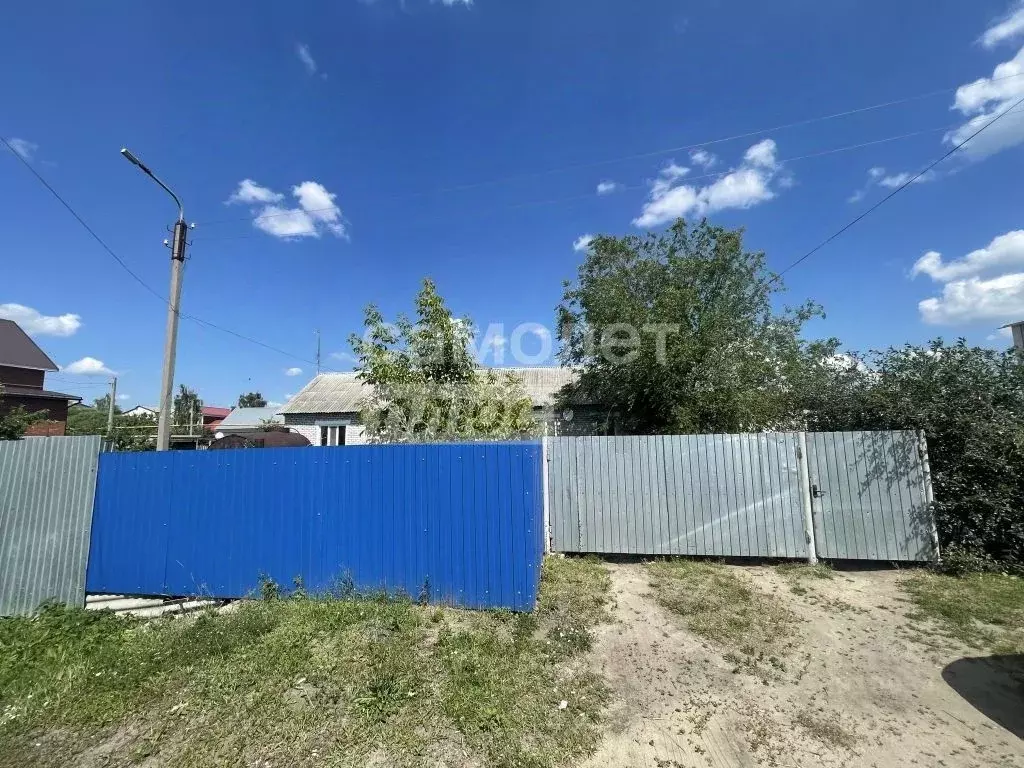 1-к кв. Ульяновская область, Димитровград ул. Баданова, 98 (28.0 м) - Фото 1