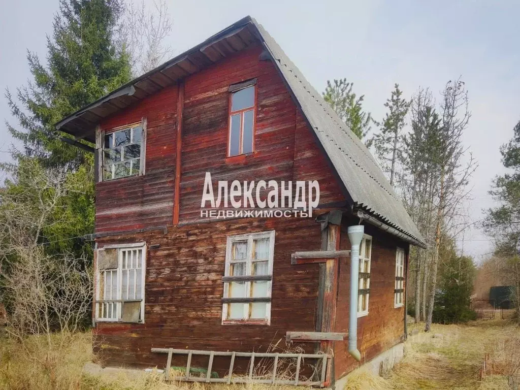 Участок в Ленинградская область, Лужский район, Мшинское с/пос, ... - Фото 1