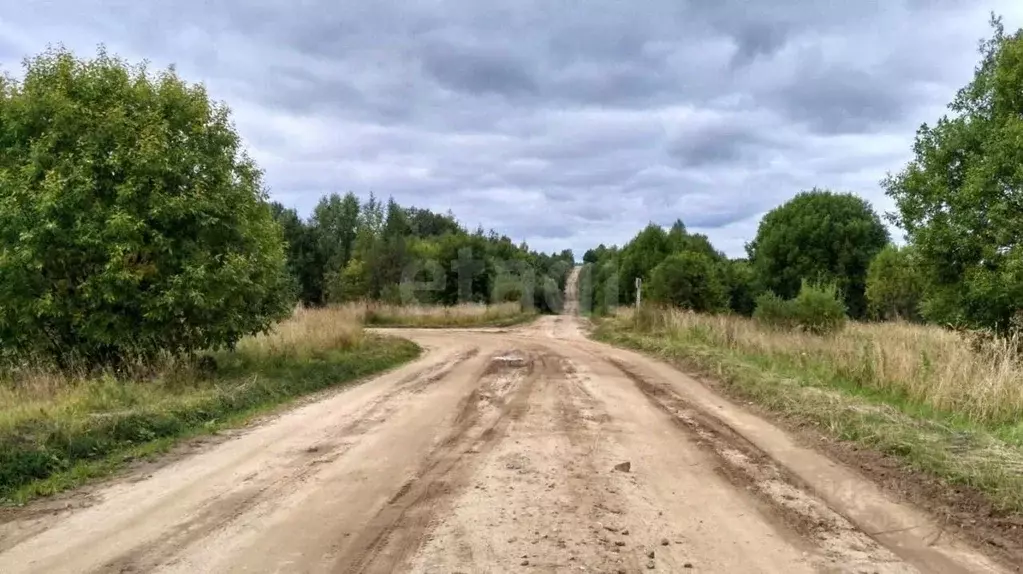Участок в Ярославская область, Первомайский муниципальный округ, д. ... - Фото 1