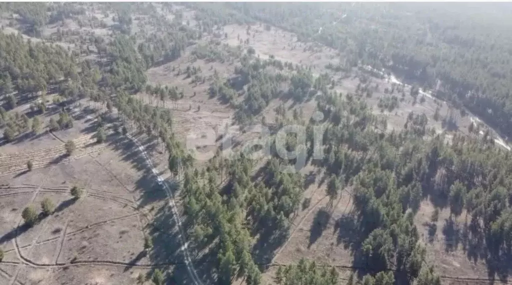 Участок в Бурятия, Тарбагатайский район, Саянтуйское с/пос, с. Нижний ... - Фото 2