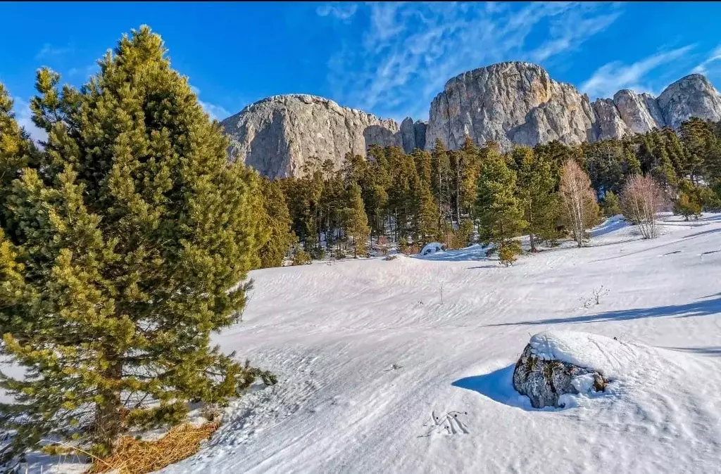 1-к кв. Кабардино-Балкария, Нальчик ул. Тарчокова, 58В (49.7 м) - Фото 0