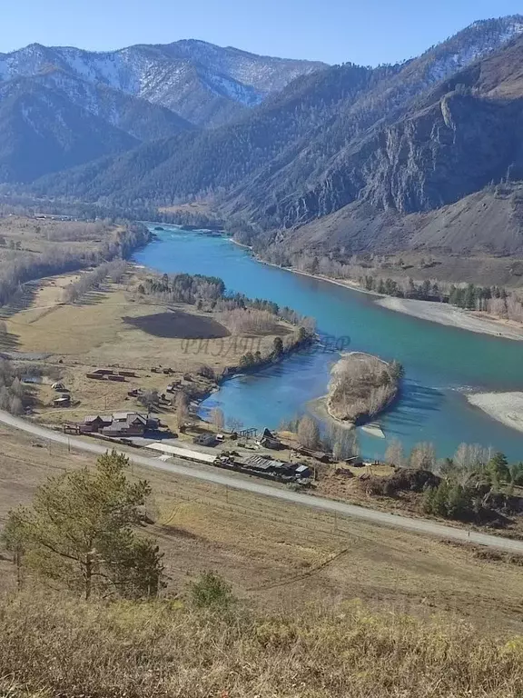 Участок в Алтай, Чемальский район, Узнезинское с/пос, с. Узнезя  (12.0 ... - Фото 1