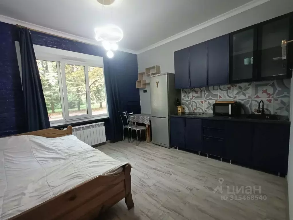 Комната Санкт-Петербург Офицерский пер., 3-5 (23.9 м) - Фото 0