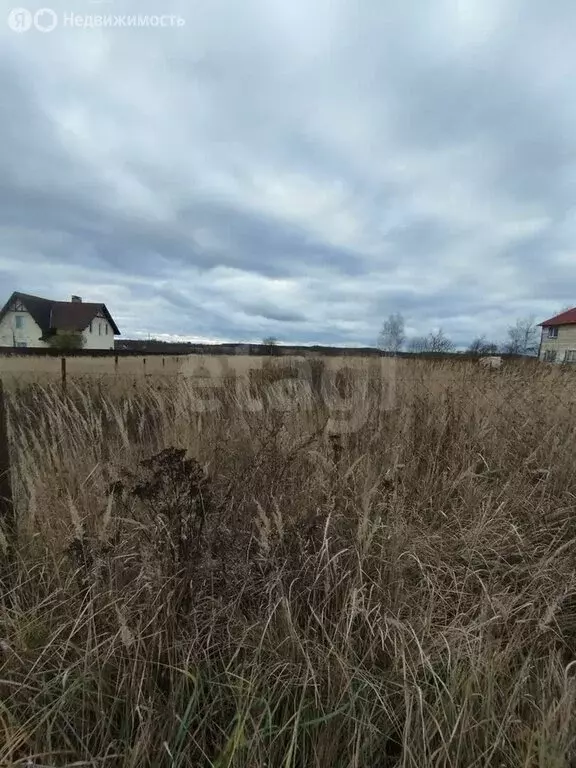 Участок в деревня Михеево, Садовая улица (15.34 м) - Фото 0