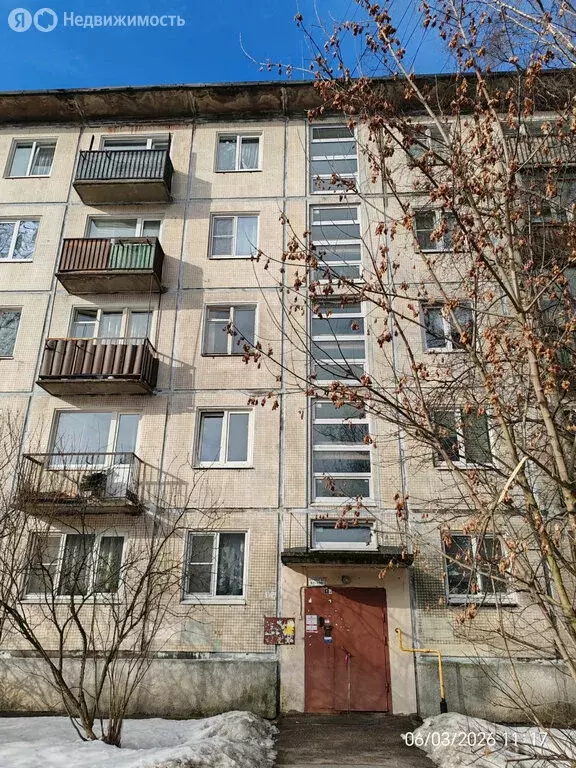 2-комнатная квартира: Санкт-Петербург, проспект Энергетиков, 28к2 ... - Фото 1