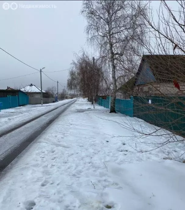 Участок в Верхнемамонский район, Ольховатское сельское поселение, село ... - Фото 2