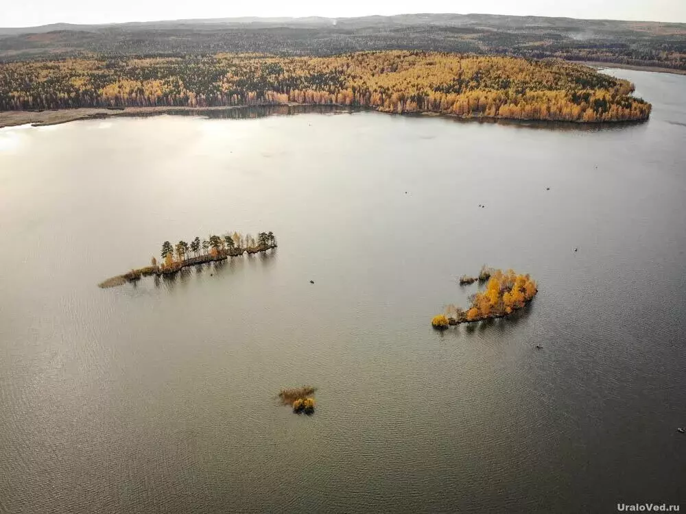 Дом в Свердловская область, Невьянский муниципальный округ, посёлок ... - Фото 1