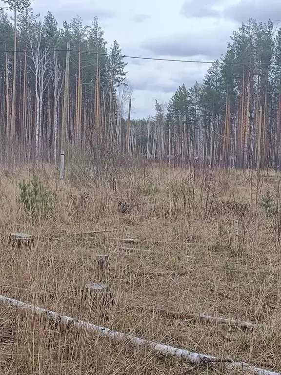 Участок в Свердловская область, Ревда муниципальный округ, с. Кунгурка ... - Фото 0